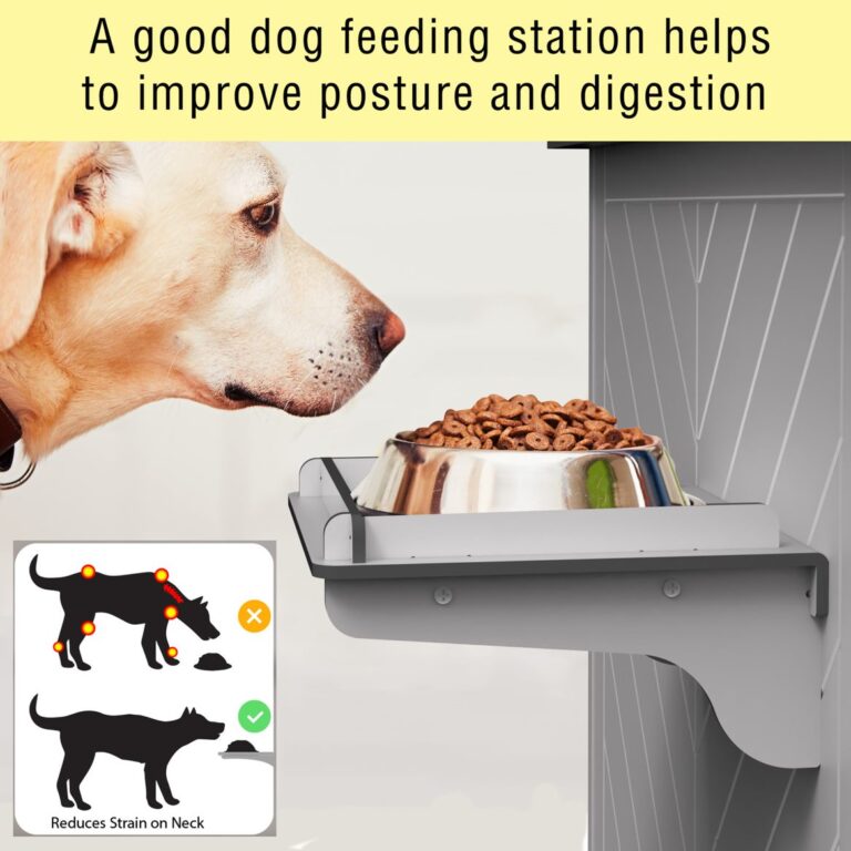 Archie Double Litter Box STORAGE AND Feeder